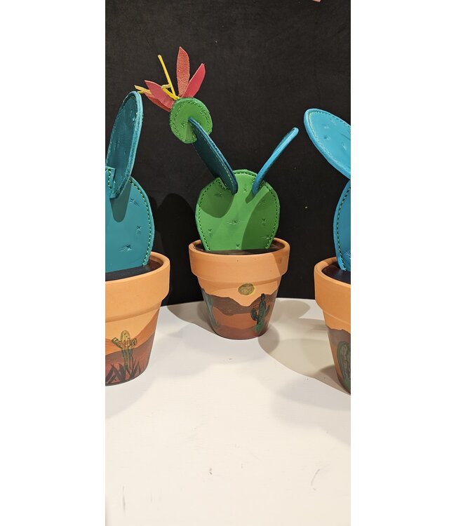 Beyond the Barn Coaster Cactus Set Assort. BTB