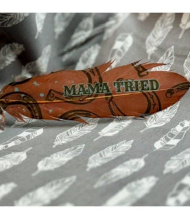 Buckaroo Supply Company Buckaroo Handcrafted Hat Feather