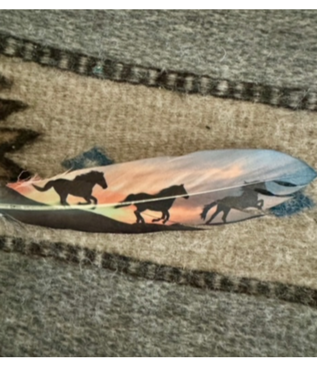 Buckaroo Supply Company Buckaroo Wild Horses Hat Feather