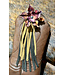 Beyond the Barn Boot Bling PAIR BTB