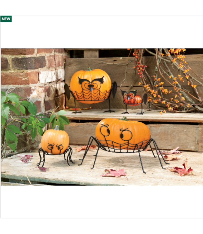 Set Of 2 Owl Pumpkin Holders