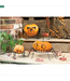 Set Of 2 Owl Pumpkin Holders