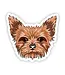 Big Moods Big Moods Assorted Pet Stickers