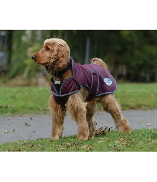 Weatherbeeta Comfitec Windbreaker Free Deluxe Dog Coat