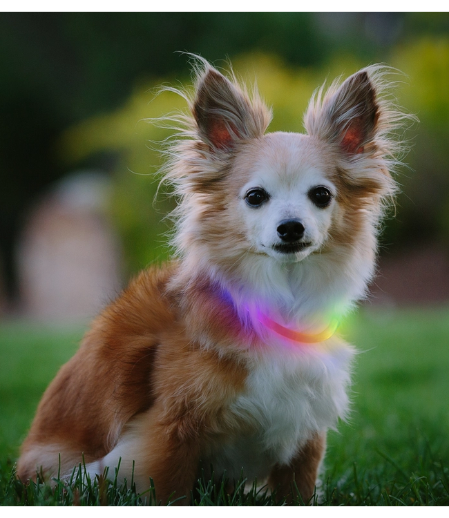 Nite Ize NiteHowl Rechargable LED Safety Necklace