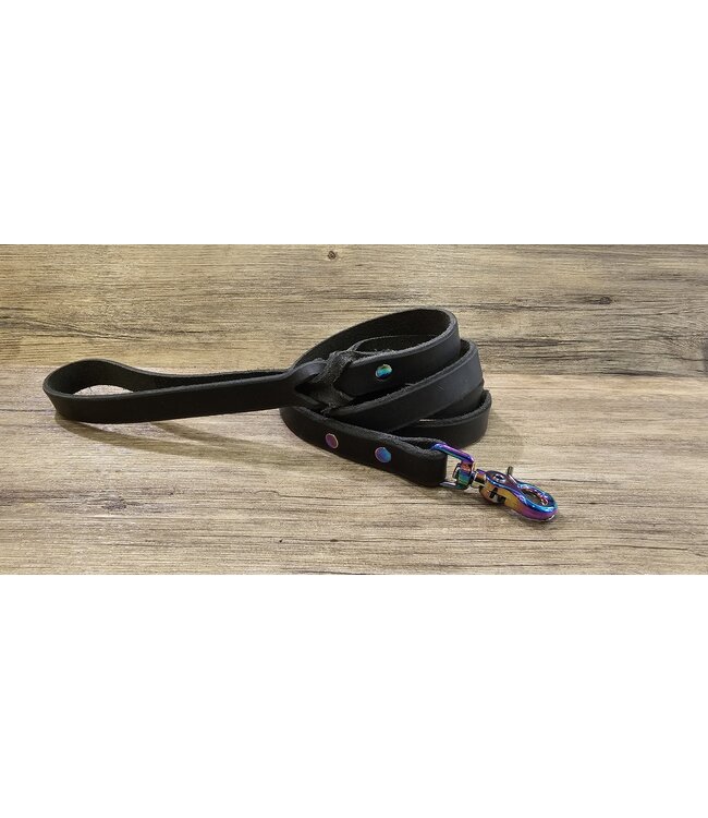 Beyond the Barn Rainbow Leash