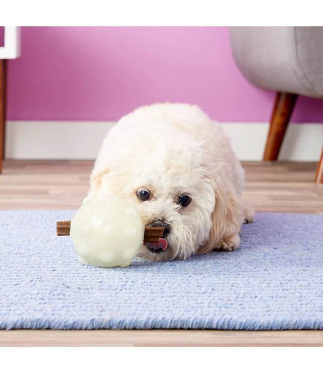 Jolly Jumper Dog Toy