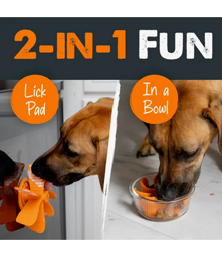 Mighty Paw Slow Feeder Insert For Dog Bowl