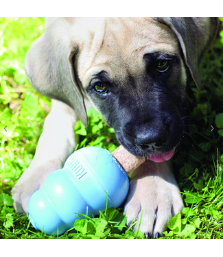 KONG Kong Puppy Toy