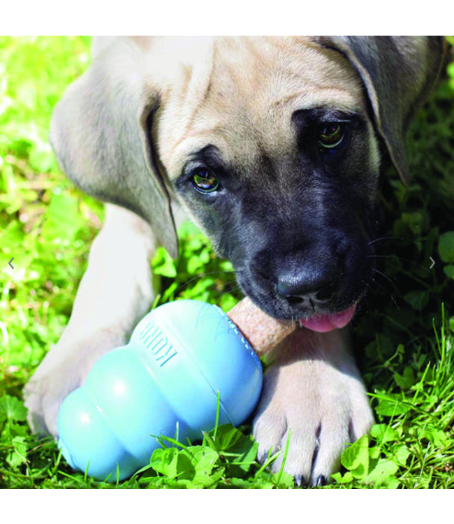 KONG Kong Puppy Toy