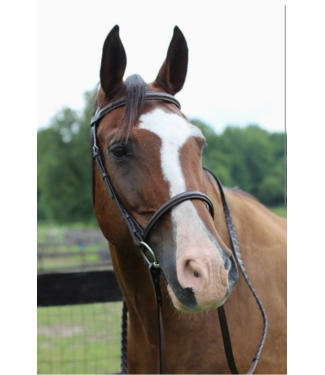 Henri De Rivel Pro Fancy Raised Bridle with Laced Reins Havana-Horse