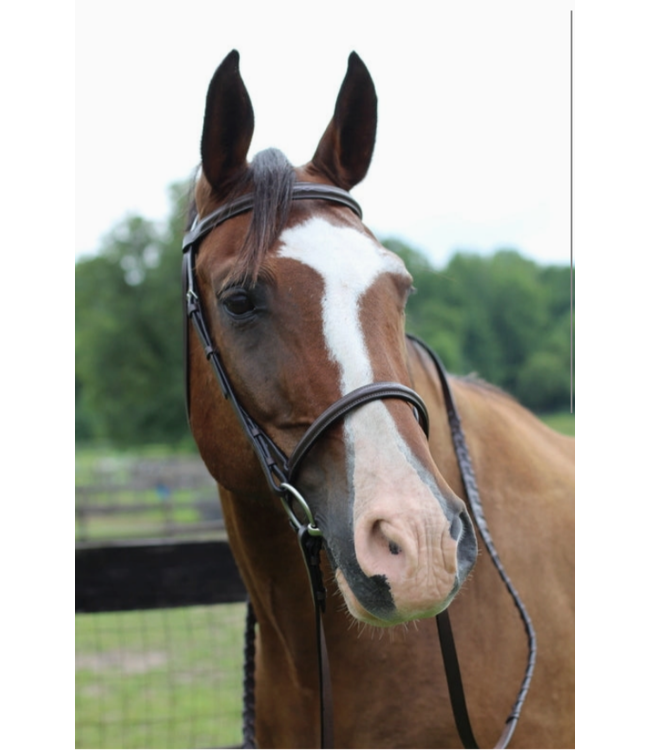 Henri De Rivel Pro Fancy Raised Bridle with Laced Reins Havana-Horse