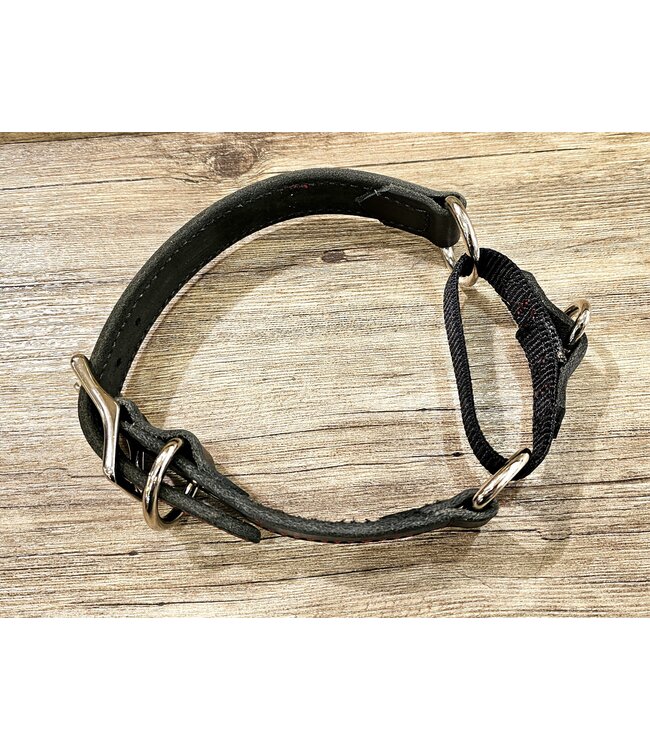 Beyond the Barn Martingale Draw Leather Dog Collar BTB