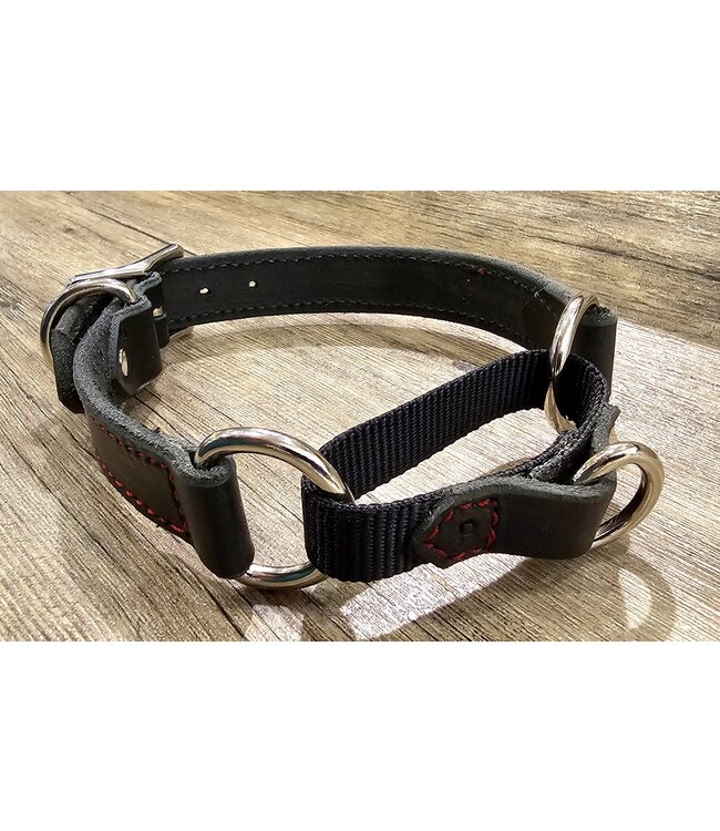 Beyond the Barn Martingale Draw Leather Dog Collar BTB