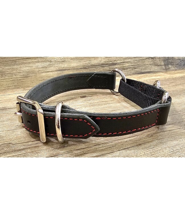 Beyond the Barn Martingale Draw Leather Dog Collar BTB