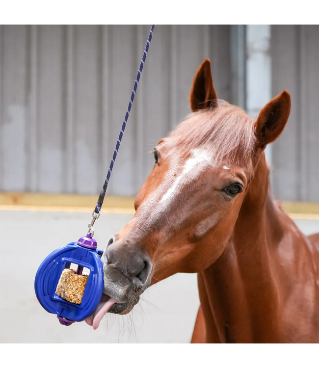 Likit Likit Bizzy Ball