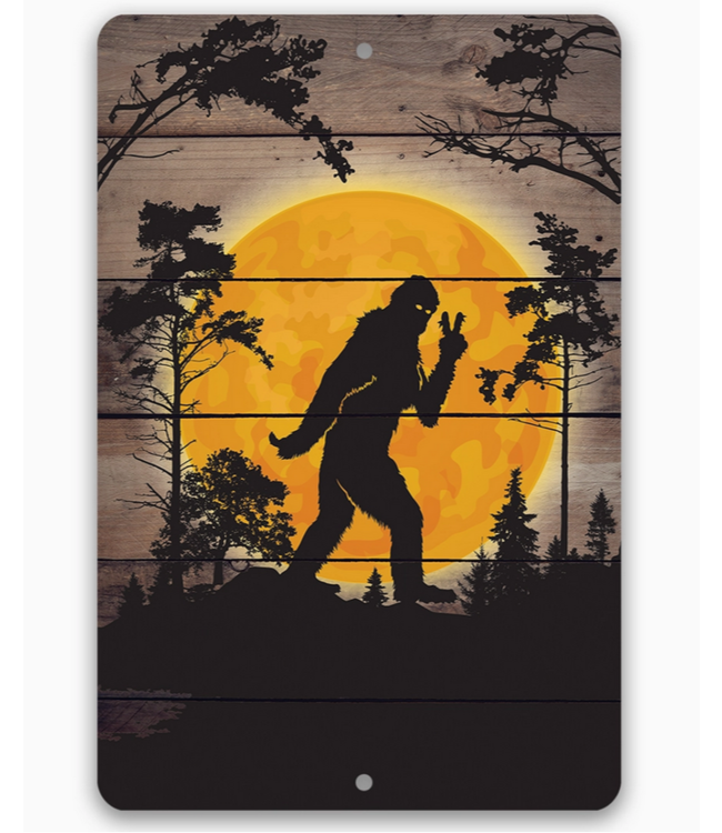 Lone Star Art Metal Sign 12x18