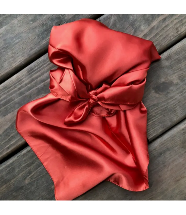 TC Ranchwear LLC TC Wild Rag Print