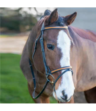 Grewal Equestrian Broadmoor Mono Crown Flash English Horse Bridle