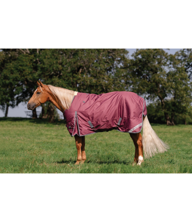 Professional's Choice 1200D Winter Blanket 300G Horse - Wine 80"