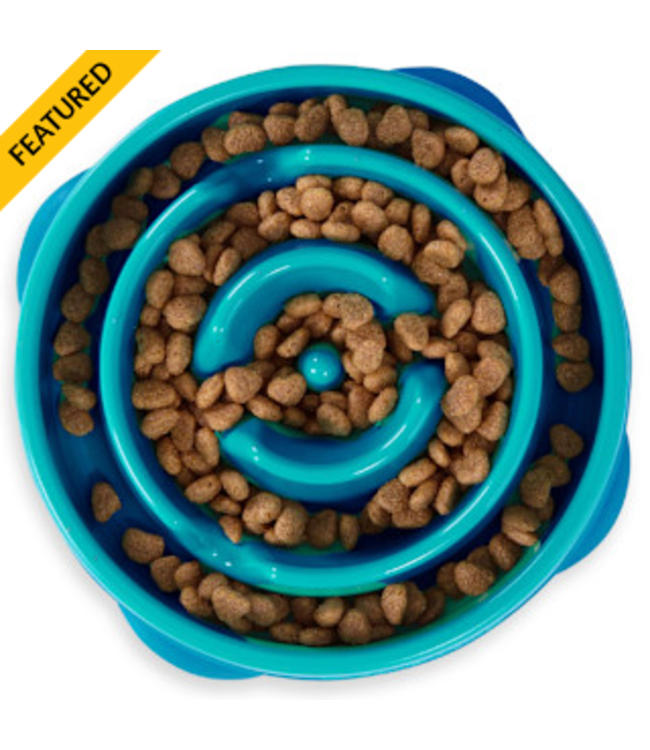 Outward Hound Fun Feeder Slo Bowl Turquoise Medium