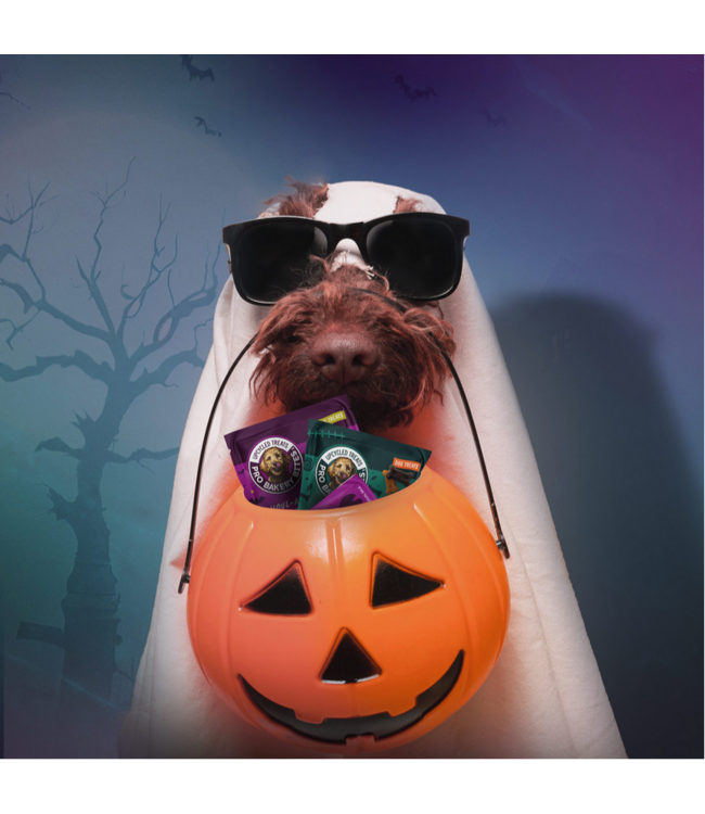 Pro Bakery Bites by Alchemy Tail-O-Ween 1oz. Treat Packs (12 Count Bag)