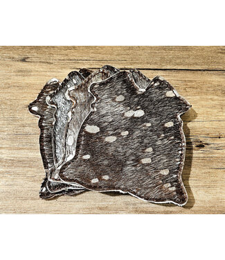 Beyond the Barn Hair On Cowhide Coaster BTB