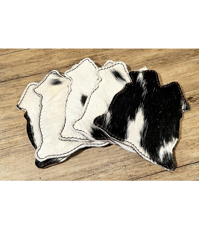 Beyond the Barn Hair On Cowhide Coaster BTB