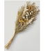Beyond the Barn Preserved Bundle Spring Grass