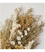 Beyond the Barn Preserved Bundle Spring Grass
