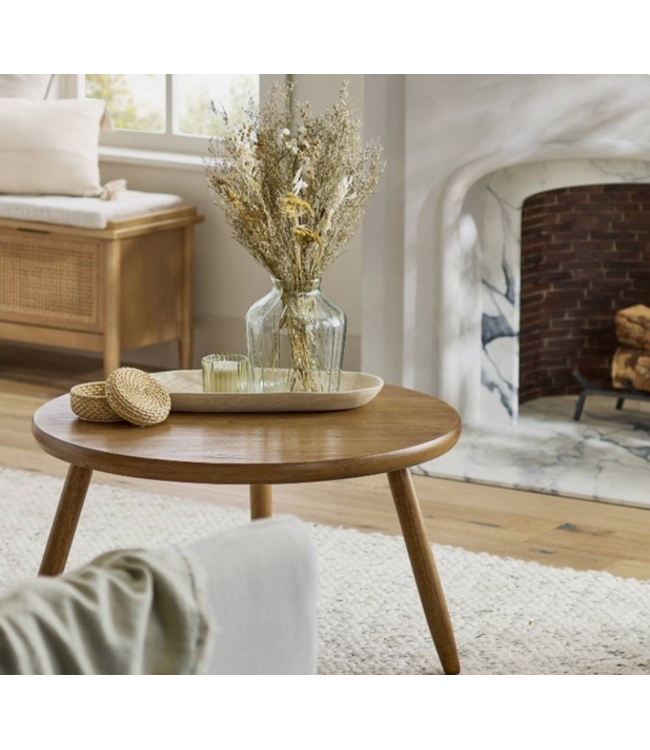 Beyond the Barn Preserved Bundle Spring Grass