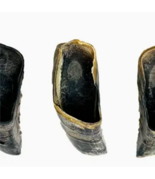 Willy's Wags Cow Hooves