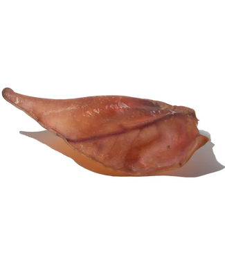 Mika and Sammy Pig Ear