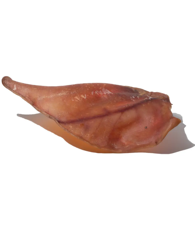 Mika and Sammy Pig Ear
