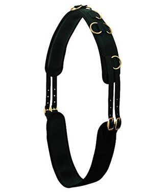 Weaver Neoprene Surcingle