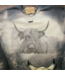 Ranchy Roan Boutique Highland Cow Western Distressed Sweatshirt