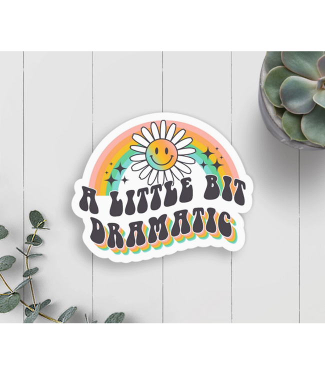 Expression Design Co Vinyl Assorted Stickers