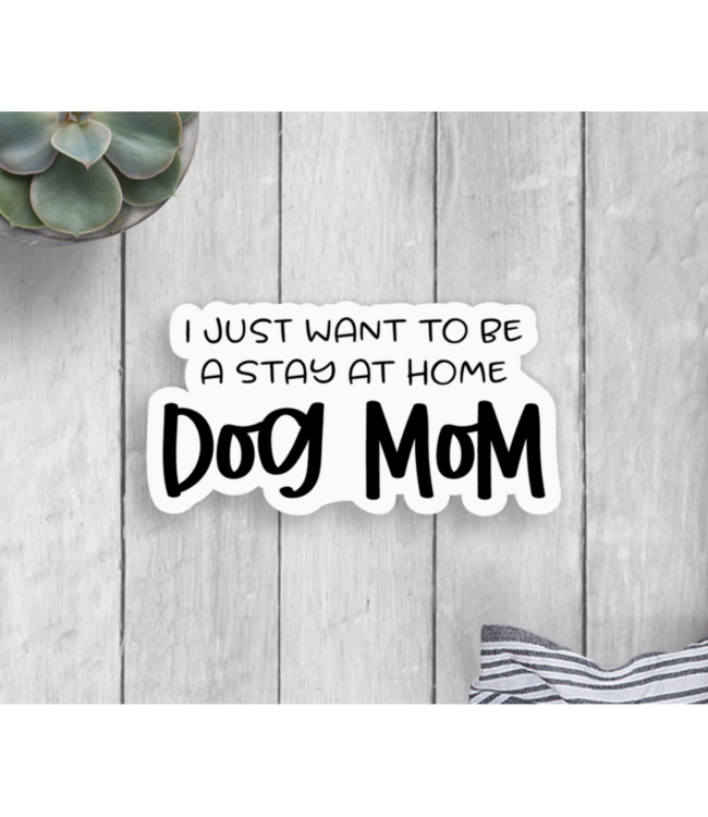 Expression Design Co Vinyl Assorted Stickers