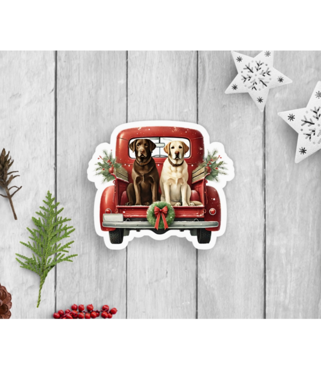 Expression Design Co Vinyl Assorted Stickers