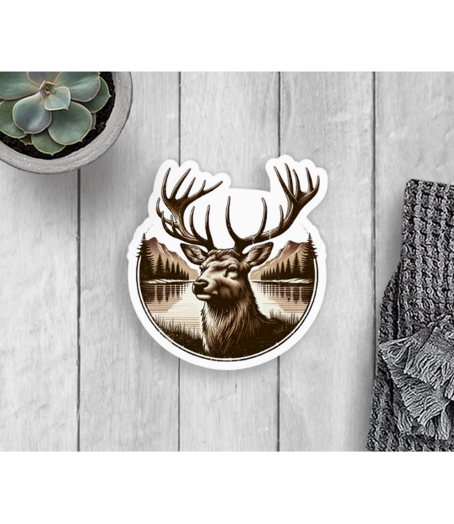 Expression Design Co Vinyl Assorted Stickers