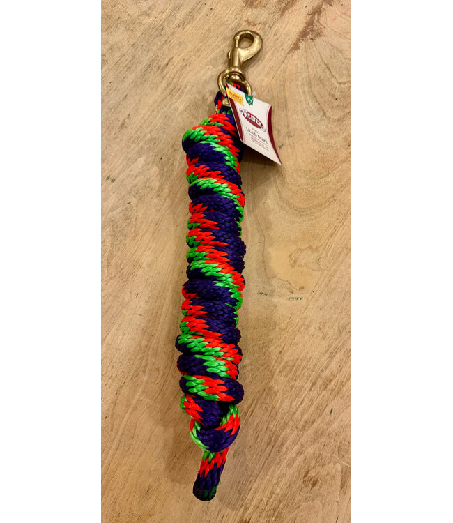 Weaver Poly Lead Rope Ribbon Pattern Purple/Orange/Green