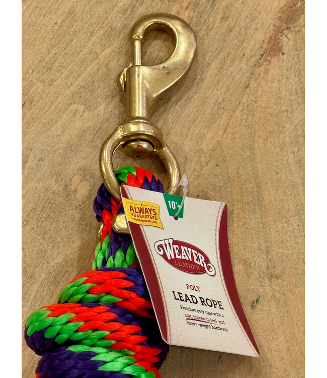 Weaver Poly Lead Rope Ribbon Pattern Purple/Orange/Green