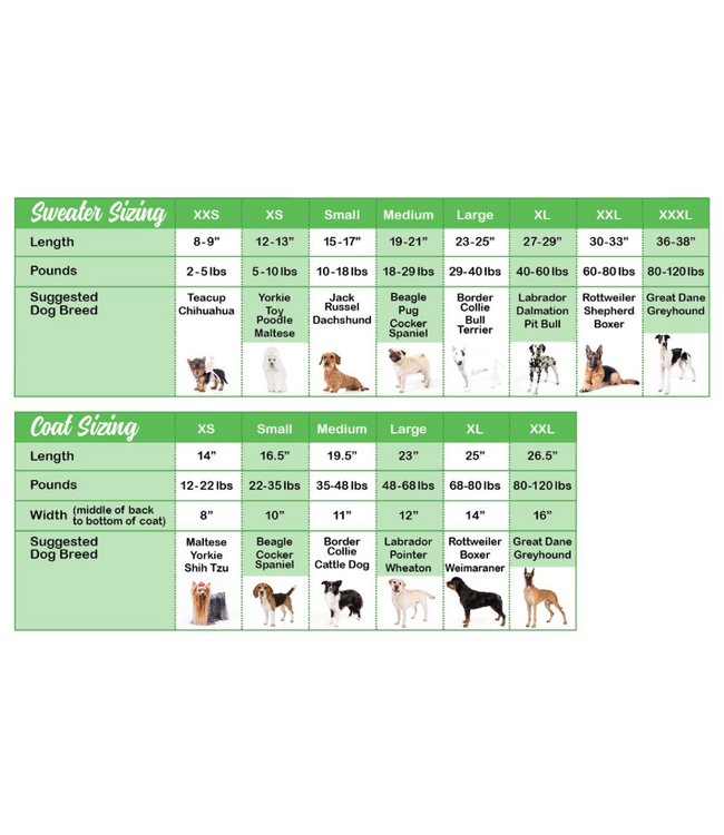 Chilly Dog Mushroom Dog Sweater