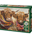Outset Games and Cobble Hill Puzzles Brrr! 1000pc Puzzle