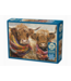 Outset Games and Cobble Hill Puzzles Brrrr! 500pc Puzzle