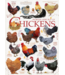 Outset Games and Cobble Hill Puzzles Chicken Quotes 1000pc Puzzle