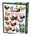 Outset Games and Cobble Hill Puzzles Chicken Quotes 1000pc Puzzle