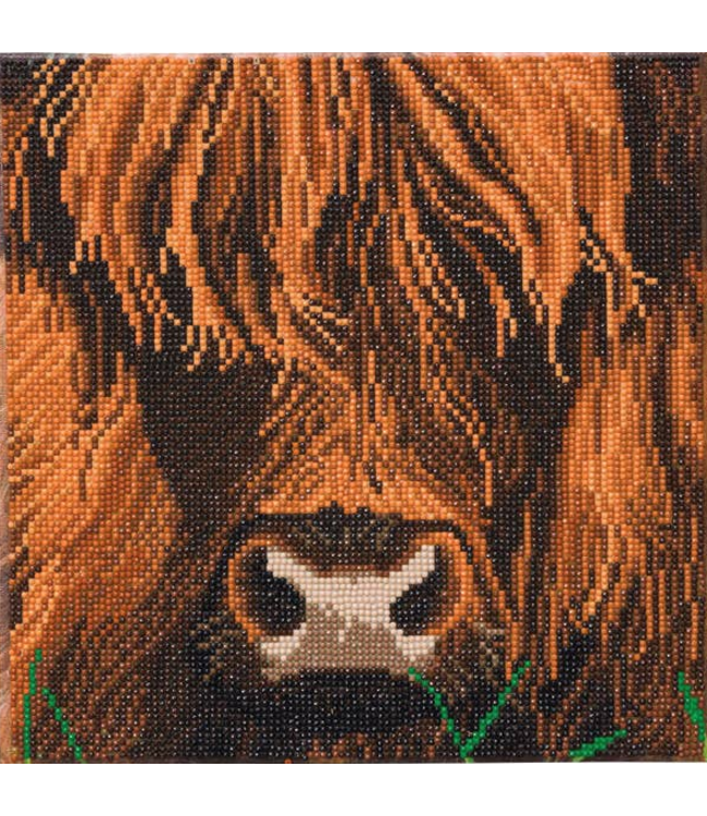 Outset Games and Cobble Hill Puzzles Medium Crystal Art Mounted Kit Highland Cow