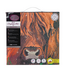 Outset Games and Cobble Hill Puzzles Medium Crystal Art Mounted Kit Highland Cow