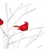 Evergreen Enterprises Holiday Poinsettia LED Tree Birch with Cardinals